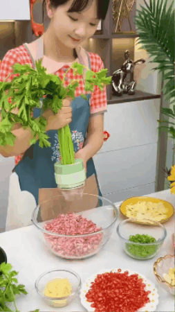KITCHENBOTS 4-in-1 Electric Vegetable Cutter | One-Touch Chopping, Slicing & Grating